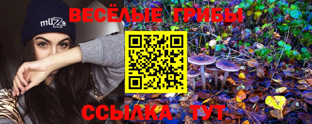 Арсеньев  Псилоцибиновые грибы мицелий  Вход с VPN 
