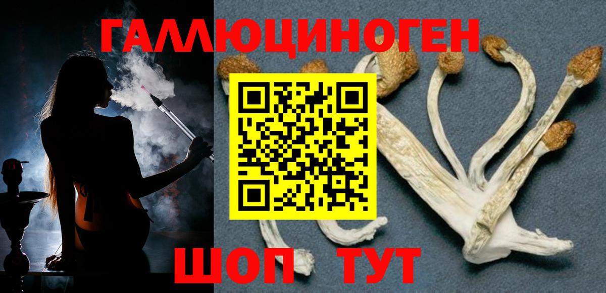 Гашиш Арсеньев