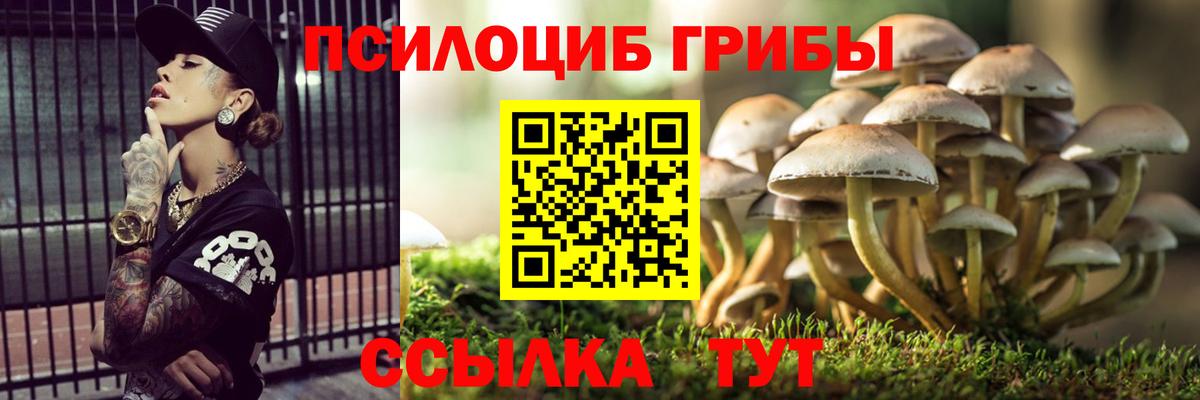 Псилоцибиновые грибы мухоморы Арсеньев